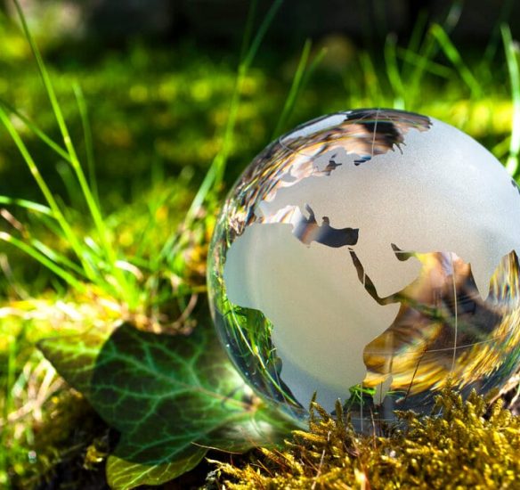 rsz_shutterstock_1228582321 rsz_shutterstock_1228582321